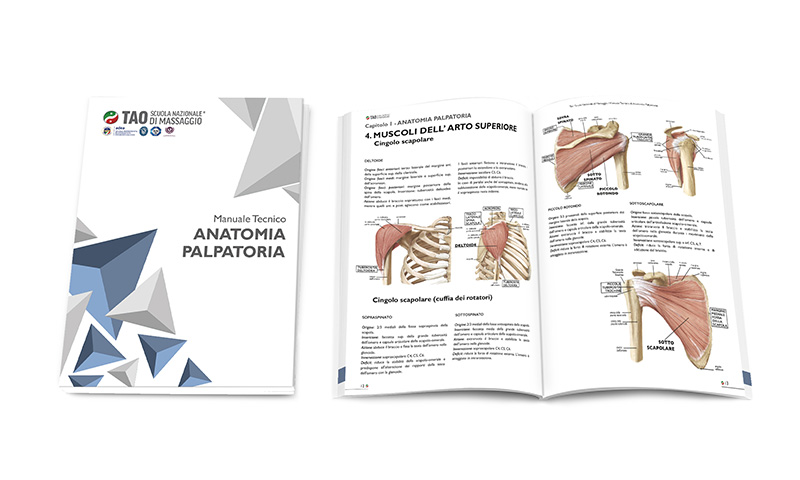 manuale didattico corso di anatomia palpatoria