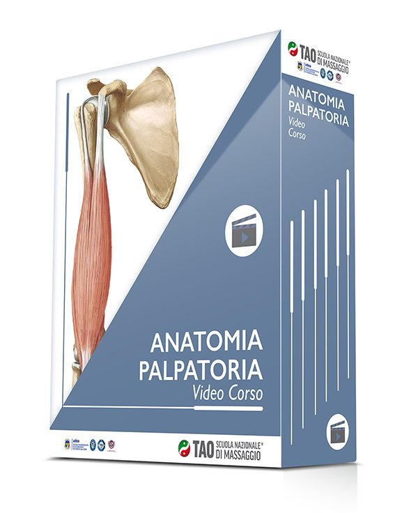 corso online anatomia palpatoria